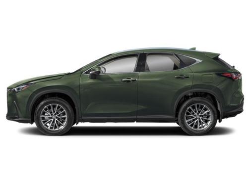 2025 Lexus NX 350 350 Base