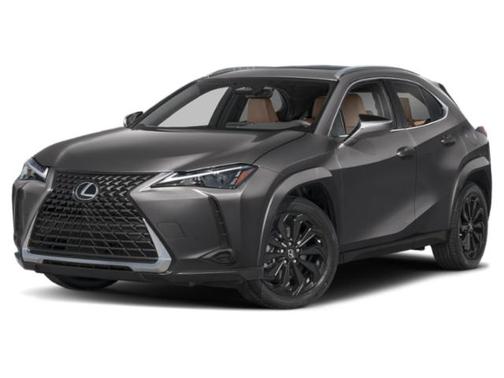 Cloudburst Gray 2026 Lexus UX 300h Premium