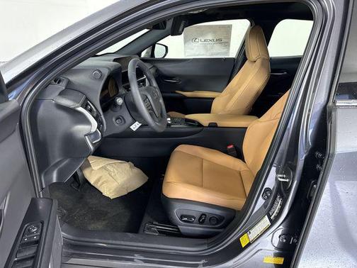 Cloudburst Gray 2026 Lexus UX 300h Premium