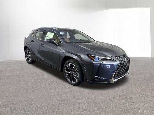 Cloudburst Gray 2026 Lexus UX 300h Premium