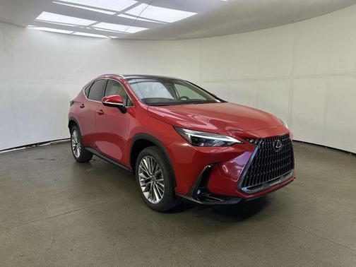 2025 Lexus NX 350 Luxury