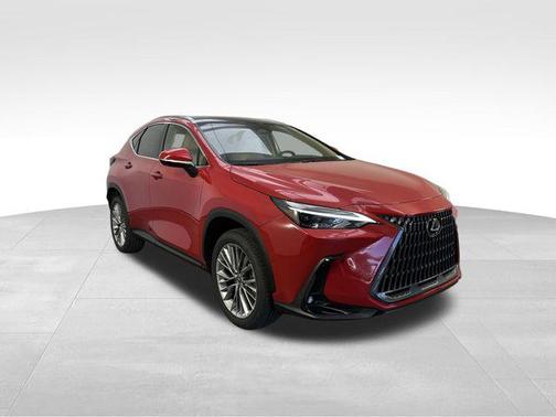 2025 Lexus NX 350 Luxury