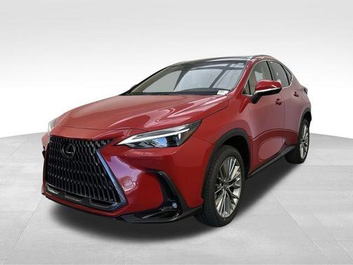 2025 Lexus NX 350 Luxury