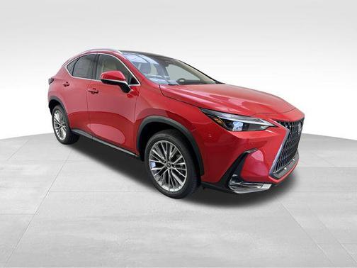 2025 Lexus NX 350 Luxury