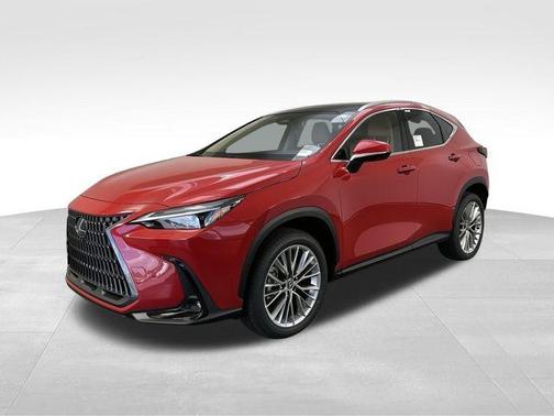 2025 Lexus NX 350 Luxury