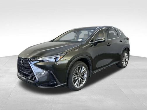 2025 Lexus NX 350h Luxury