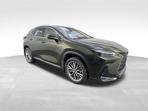 2025 Lexus NX 350h Luxury