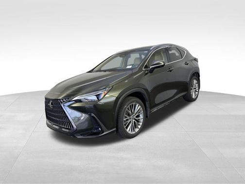 2025 Lexus NX 350h Luxury