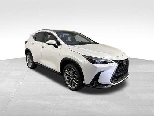 2025 Lexus NX 350 Luxury