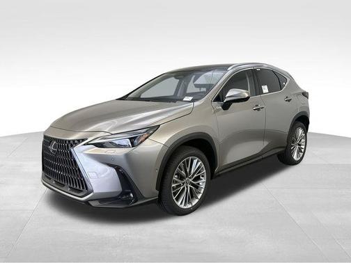 2025 Lexus NX 350 Luxury