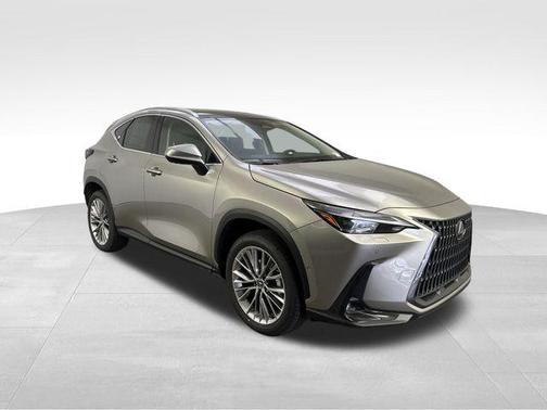 2025 Lexus NX 350 Luxury