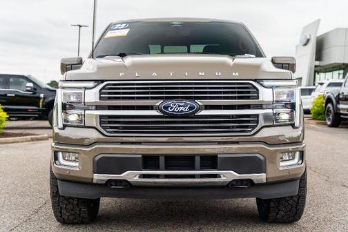 MARSH GRAY 2025 Ford F-150 PLATINUM