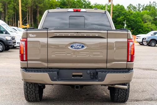 MARSH GRAY 2025 Ford F-150 PLATINUM