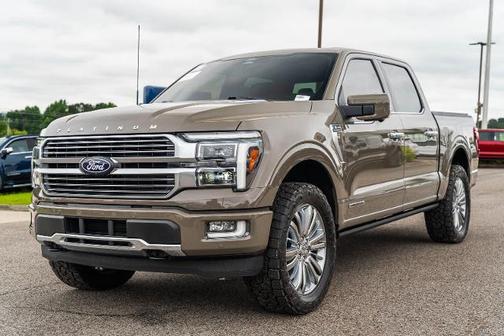 MARSH GRAY 2025 Ford F-150 PLATINUM