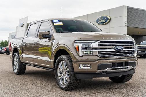 MARSH GRAY 2025 Ford F-150 PLATINUM