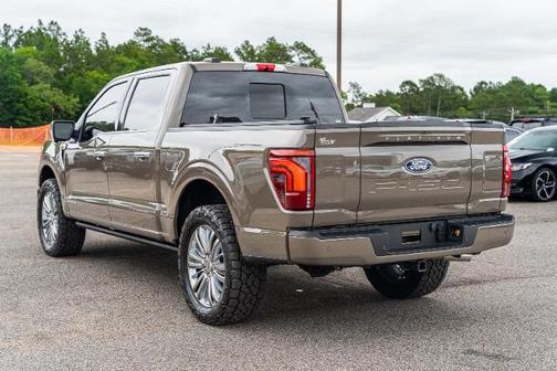 MARSH GRAY 2025 Ford F-150 PLATINUM