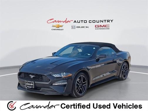 2022 Ford Mustang EcoBoost