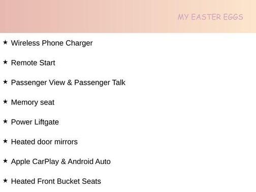 Panthera Metal 2026 Kia Carnival EX