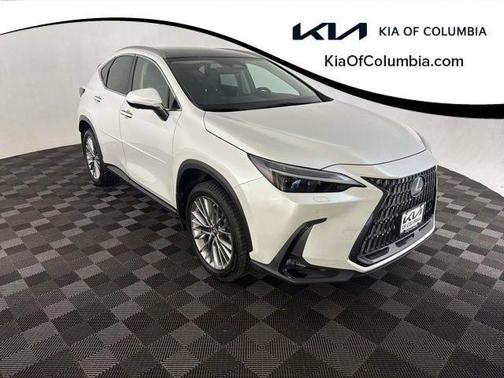 White Pearl 2023 Lexus NX 350 Luxury