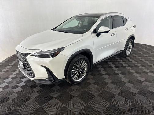 White Pearl 2023 Lexus NX 350 Luxury