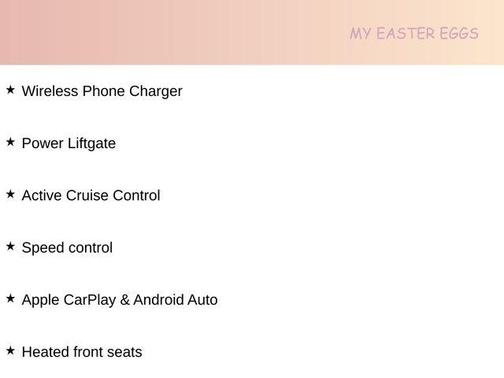 Panthera Metal 2026 Kia Carnival EX