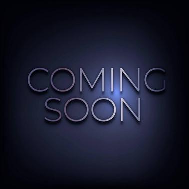 2005 Mercury Mountaineer Base