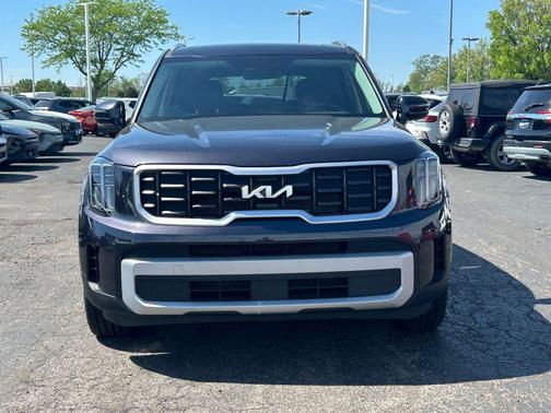 Panthera Metal 2025 Kia Telluride S