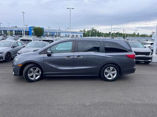 Pacific Pewter Metallic 2019 Honda Odyssey EX-L