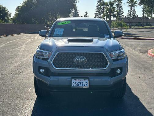Cement 2019 Toyota Tacoma TRD Sport
