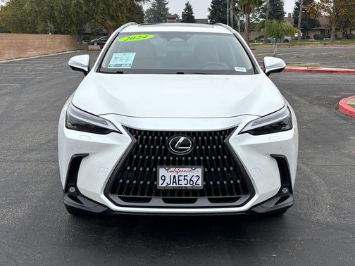 2024 Lexus NX 450h+ Luxury