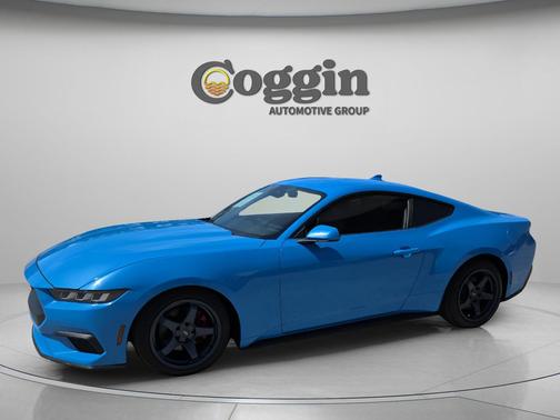 Grabber Blue Metallic 2024 Ford Mustang EcoBoost