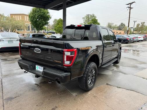 Agate Black Metallic 2021 Ford F-150 Tremor