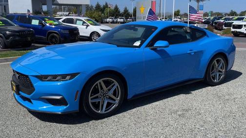 GRABBER BLUE METALLIC 2024 Ford Mustang EcoBoost