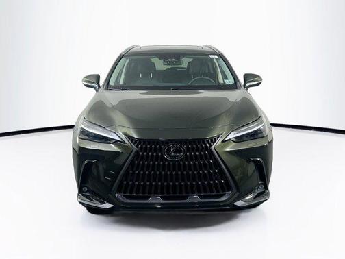 Nori Green Pearl 2024 Lexus NX 350 Luxury