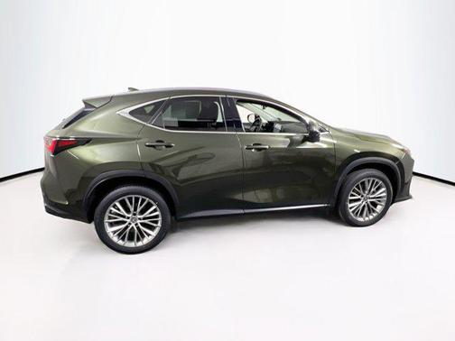 Nori Green Pearl 2024 Lexus NX 350 Luxury