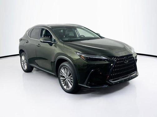Nori Green Pearl 2024 Lexus NX 350 Luxury