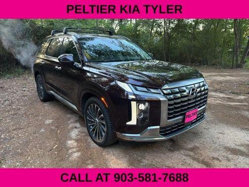 Burgundy 2023 Hyundai PALISADE Calligraphy