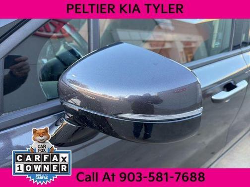 2024 Kia Carnival SX