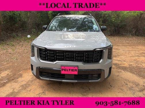 Wolf Gray 2024 Kia Sorento SX