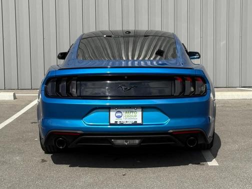 Blue 2019 Ford Mustang EcoBoost
