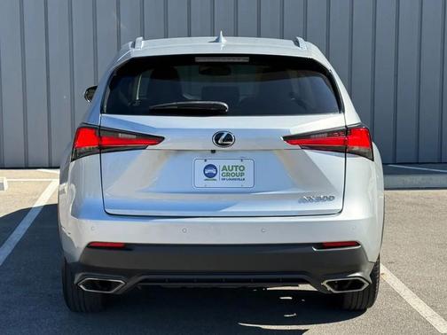 Nebula Gray Pearl 2019 Lexus NX 300 Base
