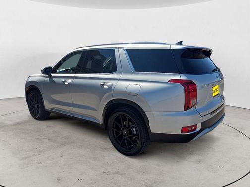 Typhoon Silver 2021 Hyundai PALISADE SEL