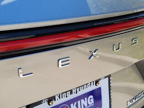 Atomic Silver 2024 Lexus NX 250 Premium