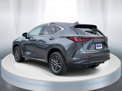 Cloudburst Gray 2024 Lexus NX 350 Premium