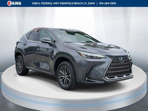 Cloudburst Gray 2024 Lexus NX 350 Premium