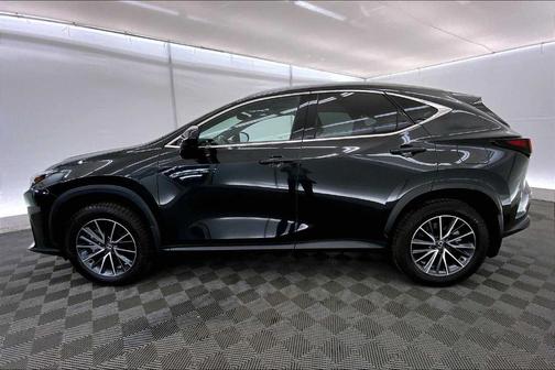 2024 Lexus NX 450h+ Luxury