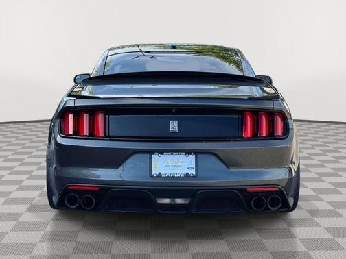 Magnetic 2017 Ford Shelby GT350 Base