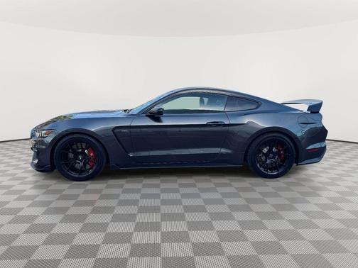 Magnetic 2017 Ford Shelby GT350 Base