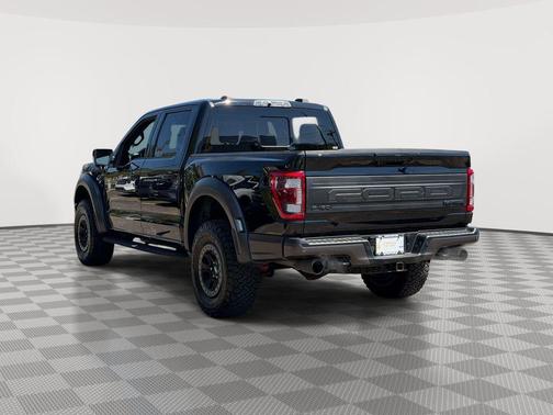 Black Metallic 2021 Ford F-150 Raptor