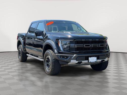 Black Metallic 2021 Ford F-150 Raptor